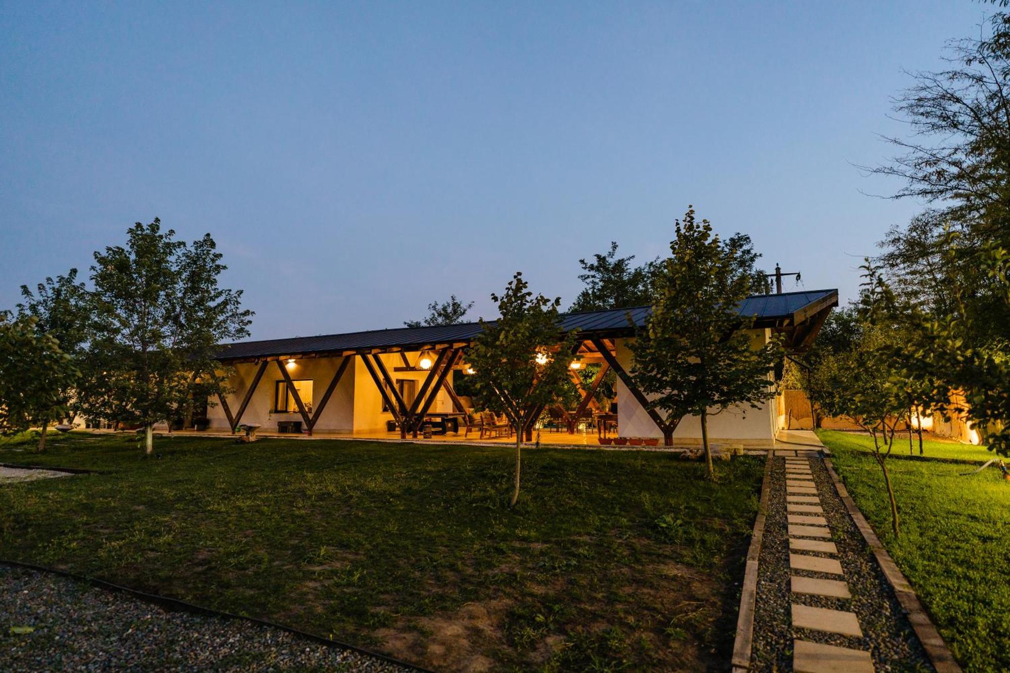 Отель The Tribe Alpaca Retreat Branesti Экстерьер фото