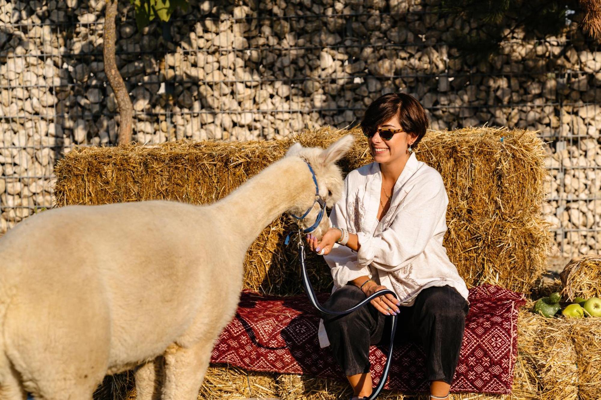 Отель The Tribe Alpaca Retreat Branesti Экстерьер фото