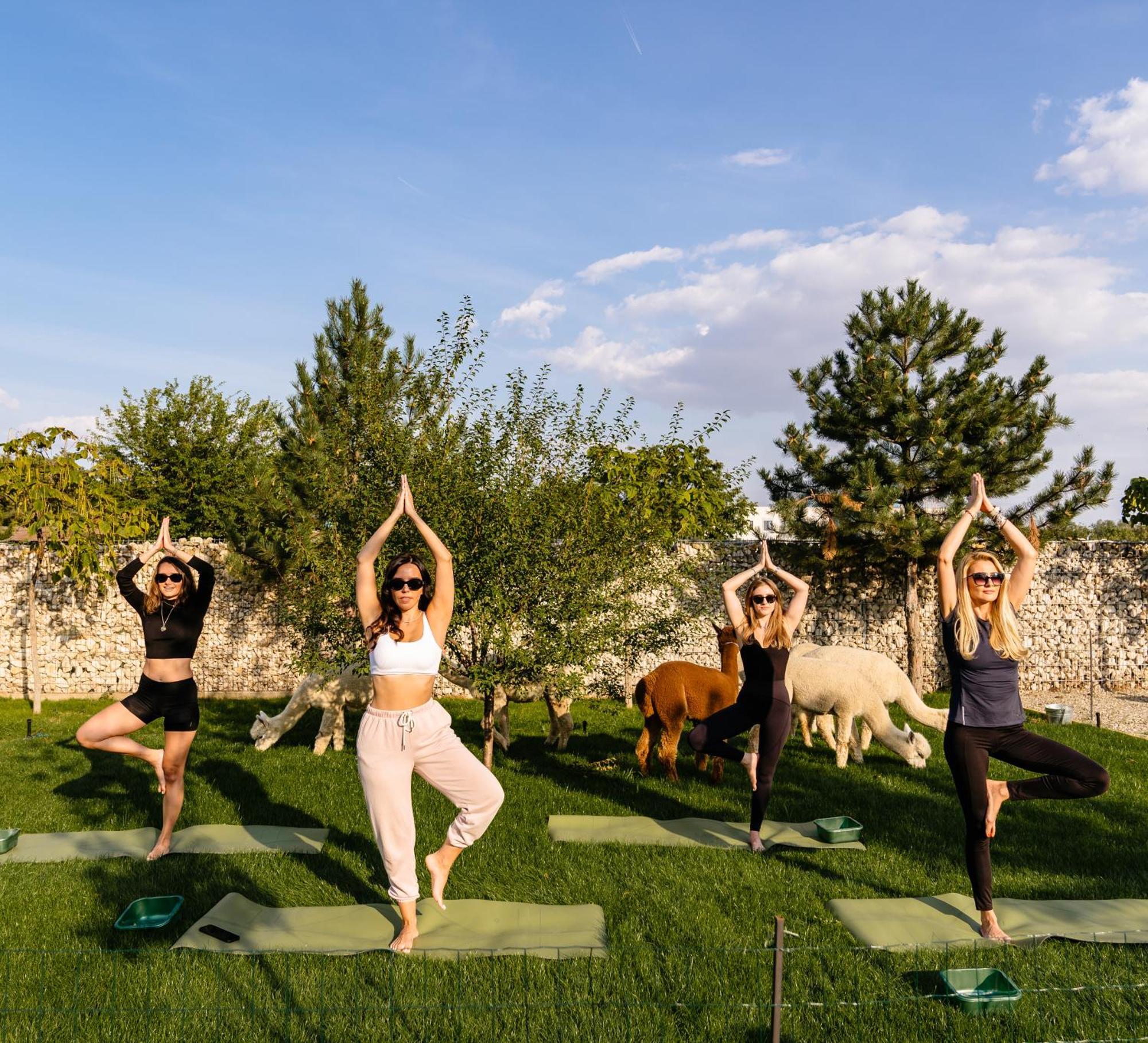 Отель The Tribe Alpaca Retreat Branesti Экстерьер фото